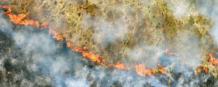 Fire burning in forested area from overhead