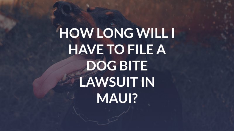 Maui dog bite lawyer