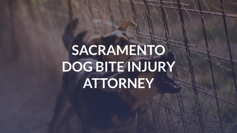 Sacramento Dog Bite Injury Attorney