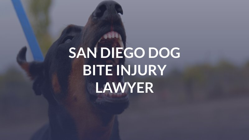 San Diego Dog Bite Injury Lawyer