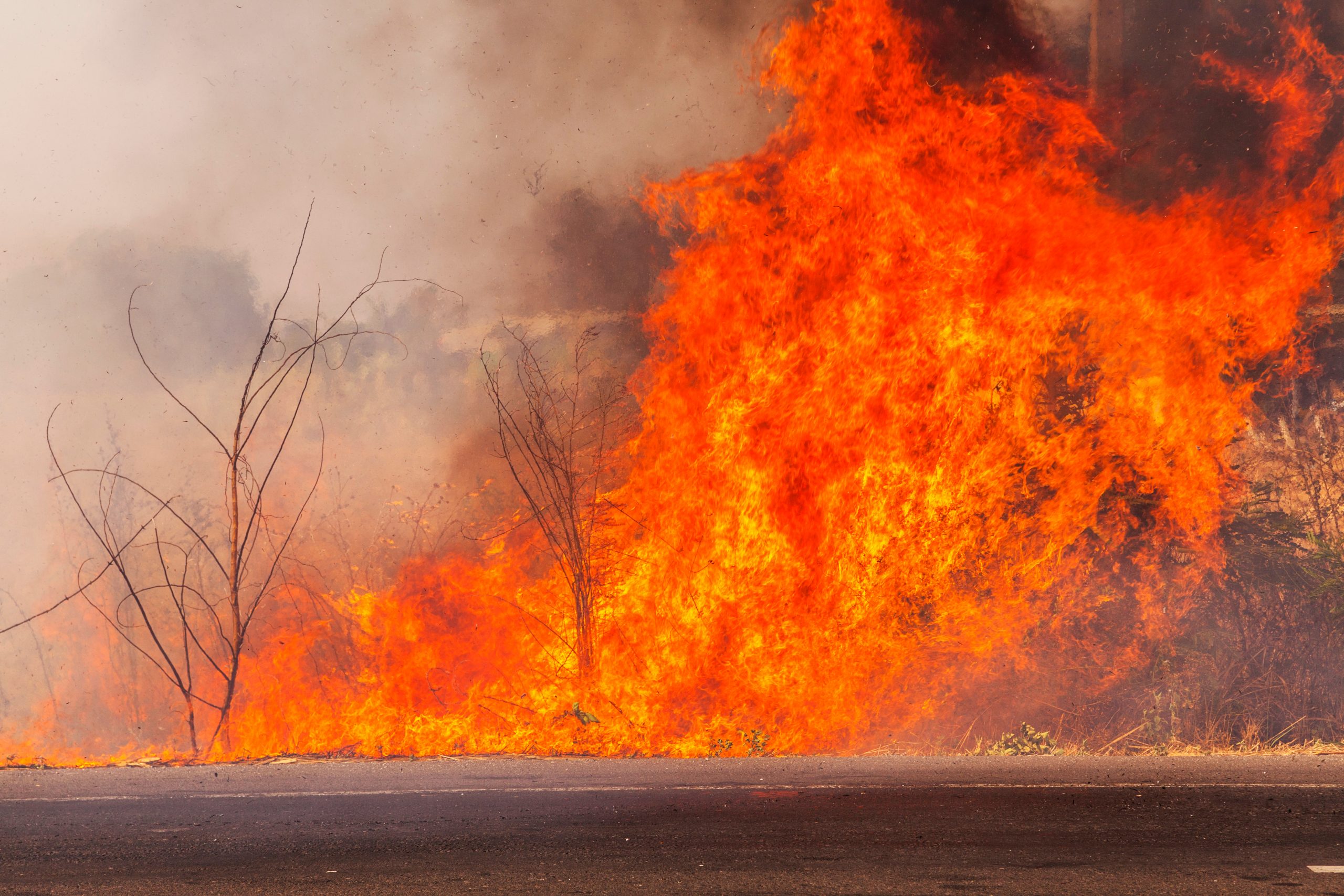 Monday Digest: 1,000 workers strike at SFO; PG&E sued for Mosquito Fire