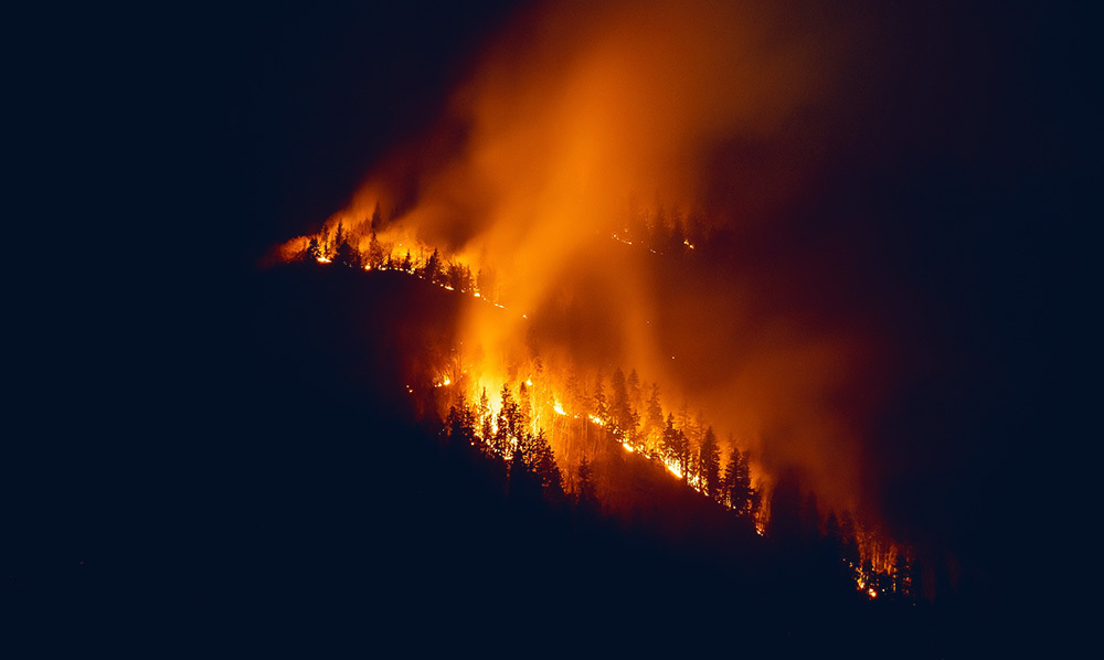 Trees burning at night