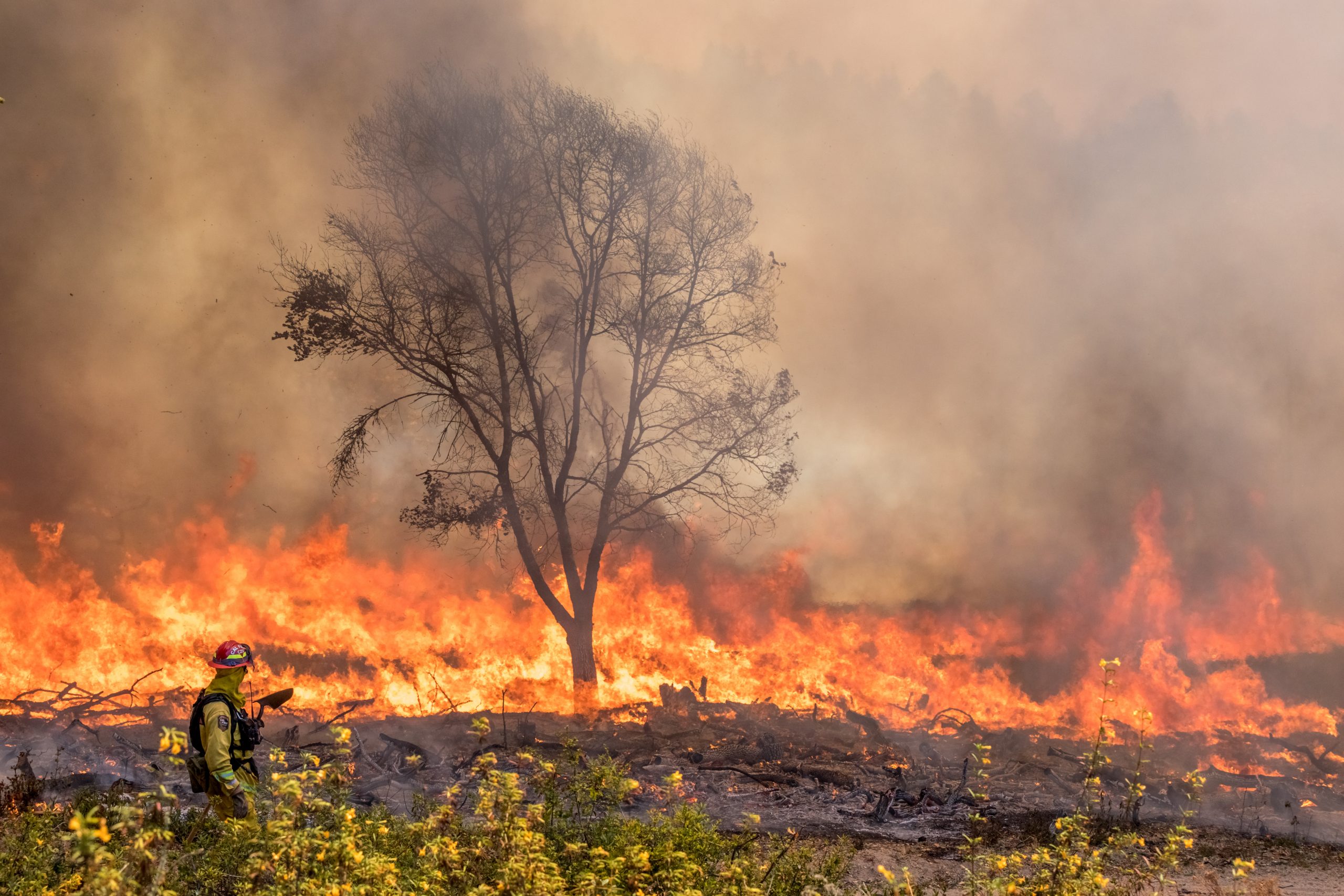 PG&E reaches $55 million deal to end criminal investigations in six fire-torn counties