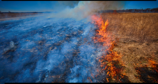 Litigation Filed Against Xcel, Southwestern, and Osmose Energy Companies in Wake of Smokehouse Creek Fire