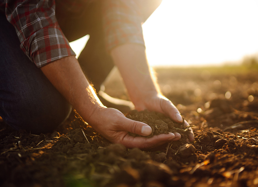 Male hands scooping soil