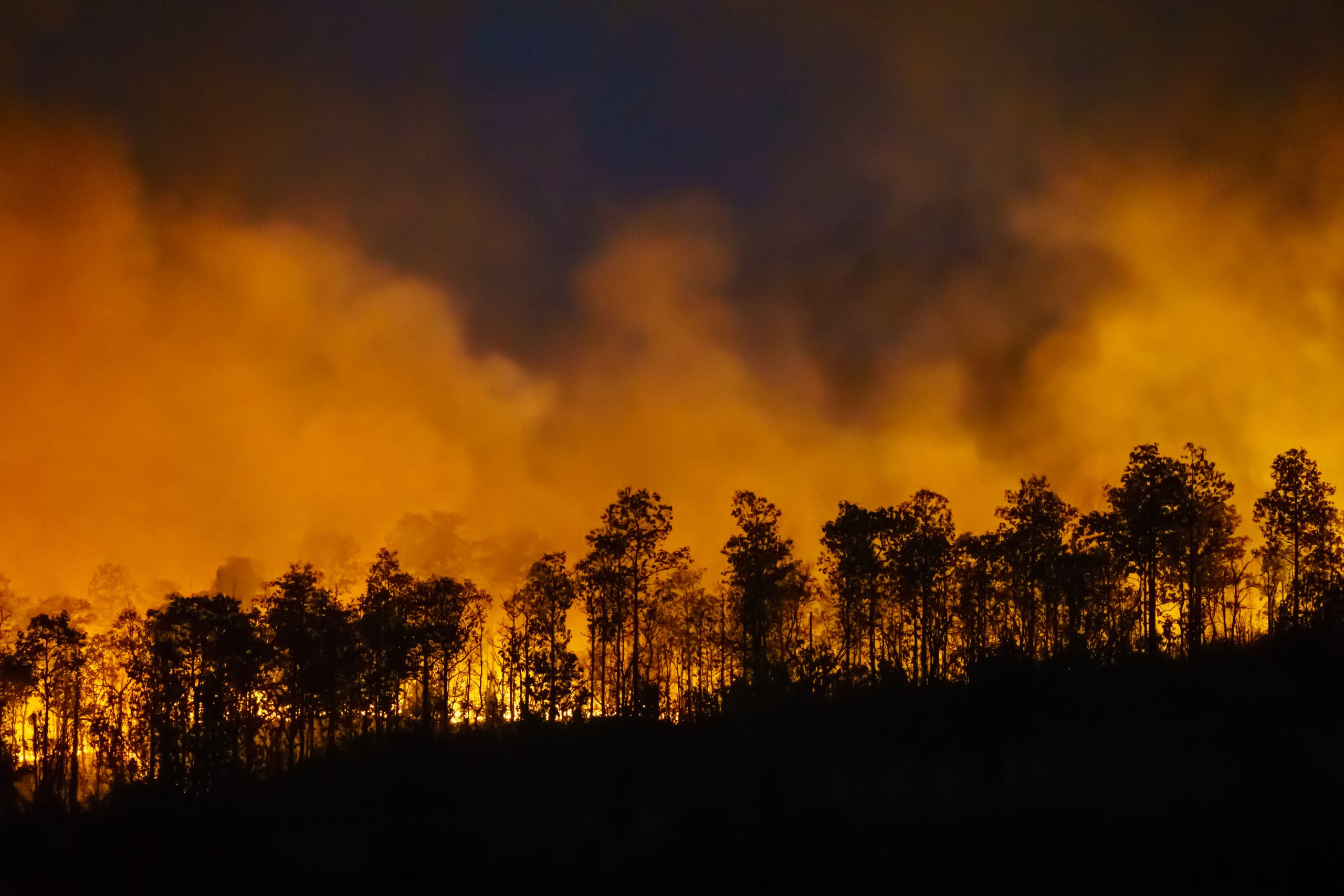 PG&E Faces Class Action Lawsuit Filed Over Environmental Impact of Dixie Fire and Fly Fire