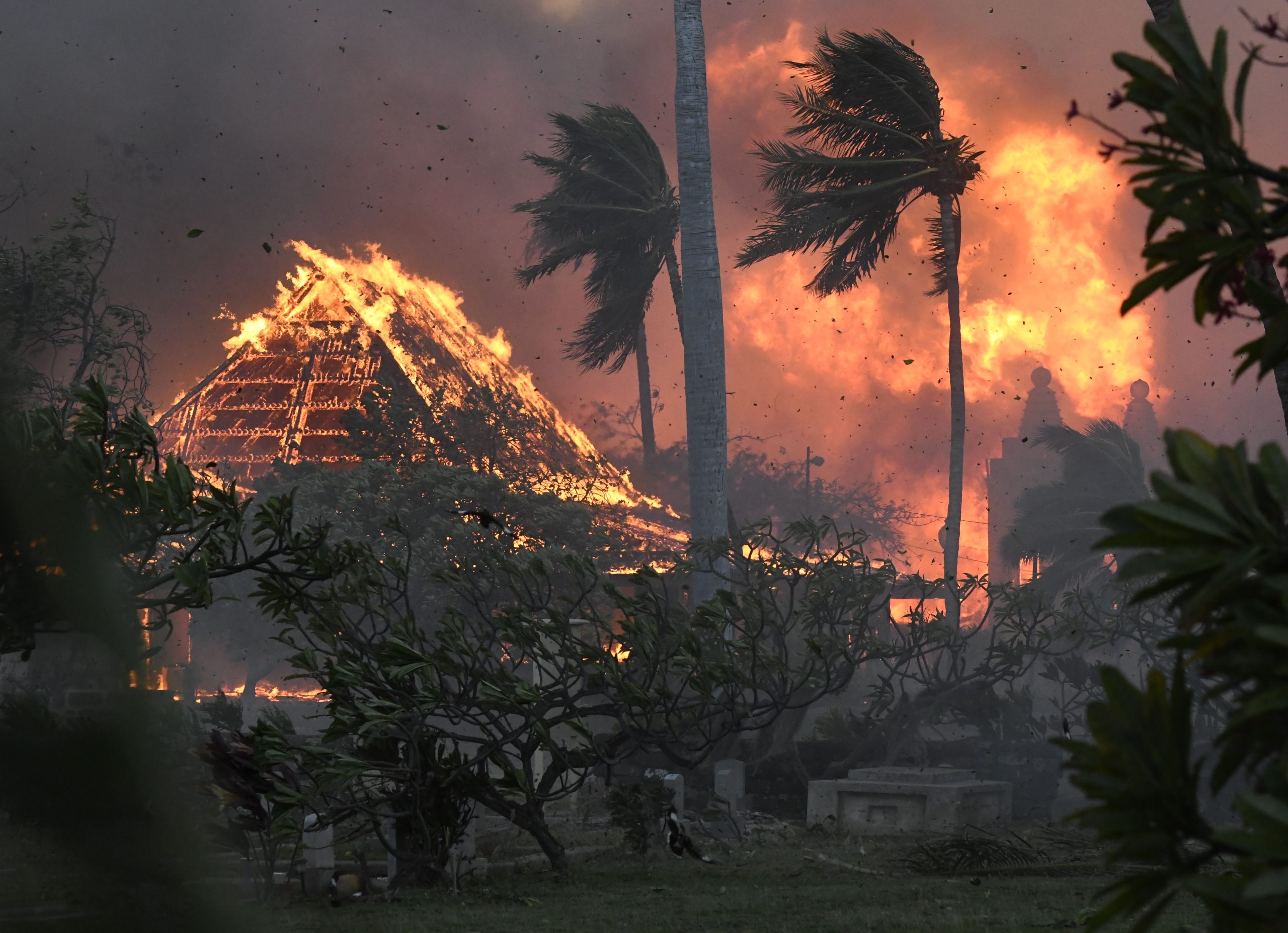 Singleton Schreiber Working With Maui Fire Victims