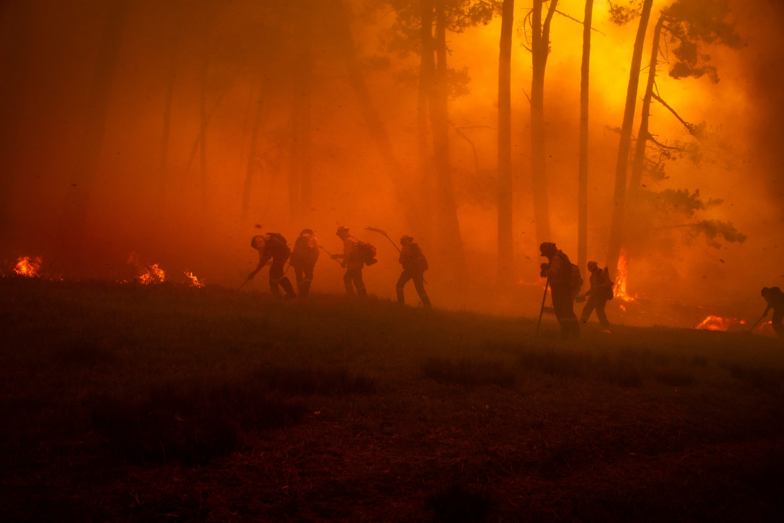 Lawsuit Filed Against PG&E Alleges Utility Company Responsible for Mosquito Fire