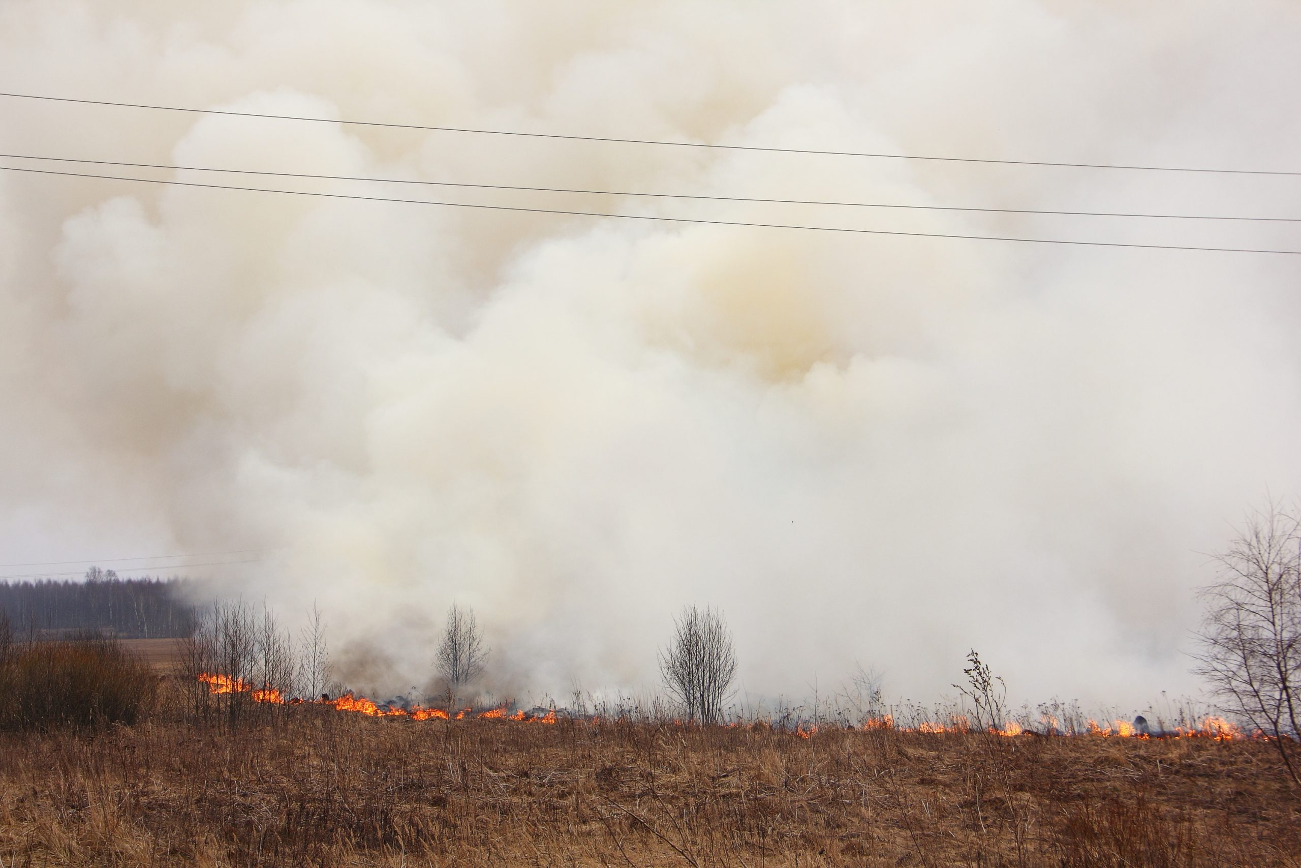 Still no replacement for wildfire claims office director, FEMA official says