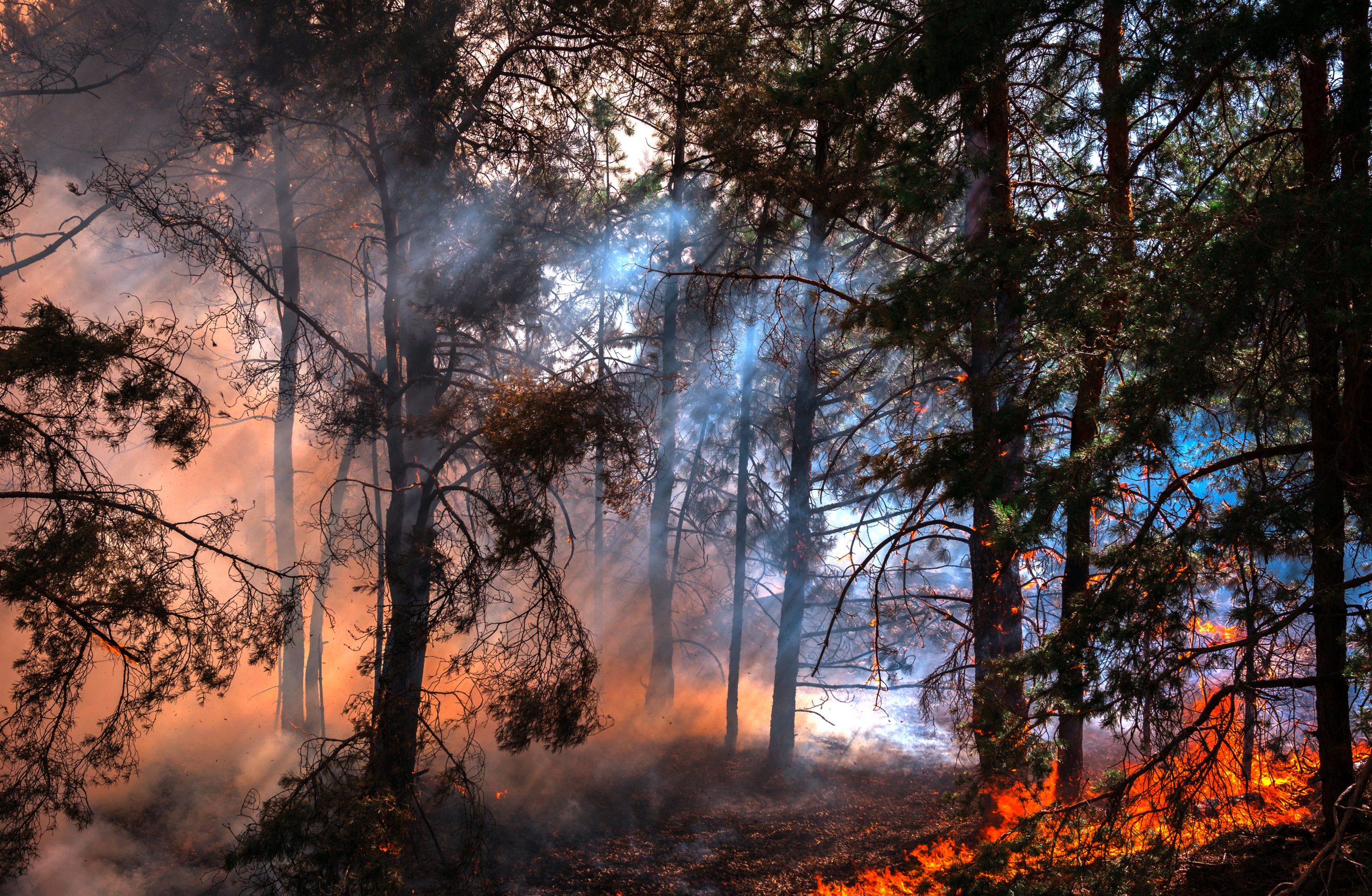 Lawsuit alleges PG&E is responsible for the Mosquito Fire in Placer, El Dorado counties