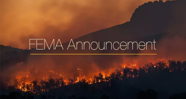 FEMA director steps down