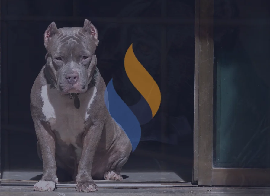 Six-Figure Settlement Achieved in San Diego Dog Bite Case