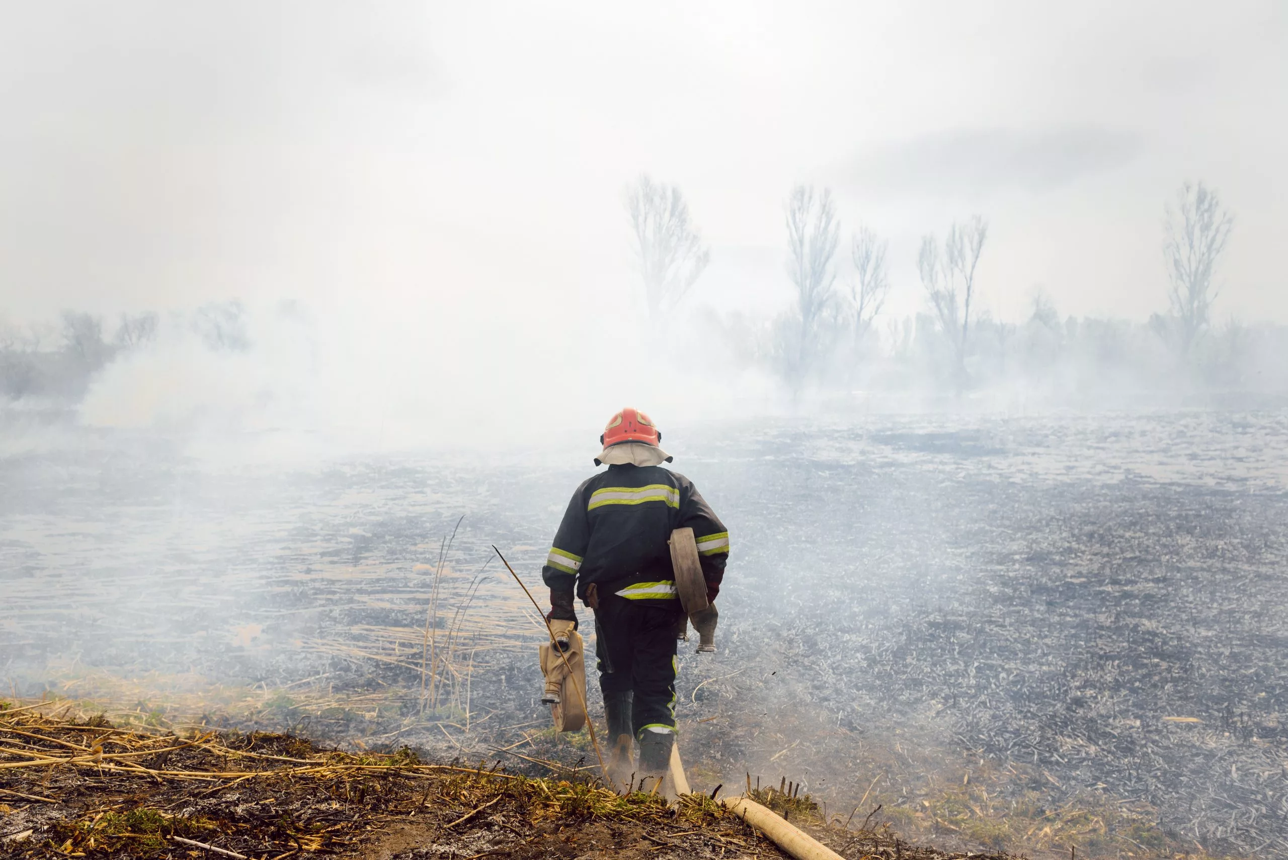 Forest service launches criminal probe into PG&E role in Mosquito fire