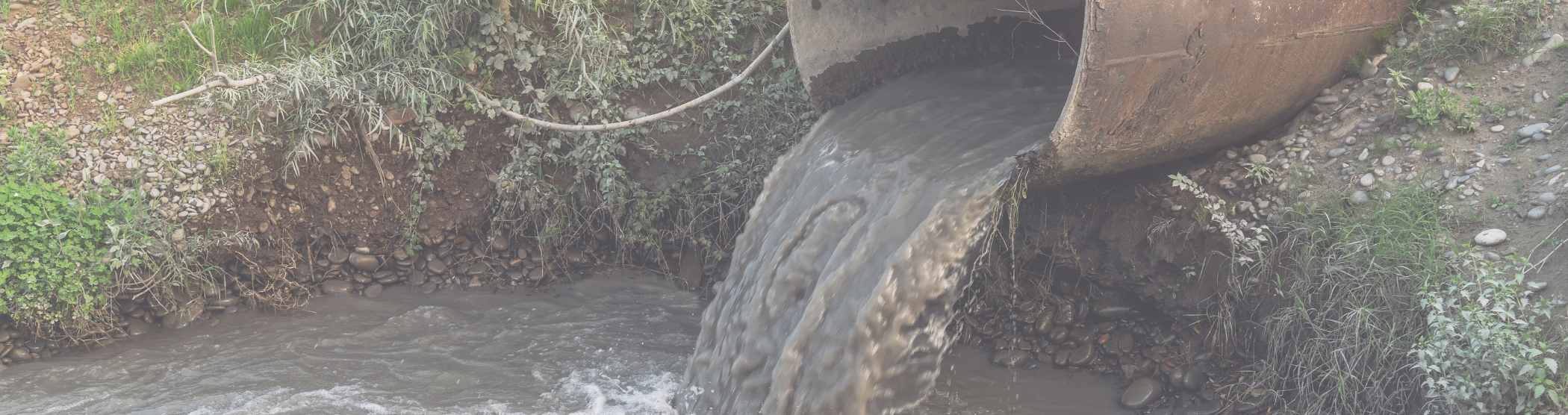 sewage spill