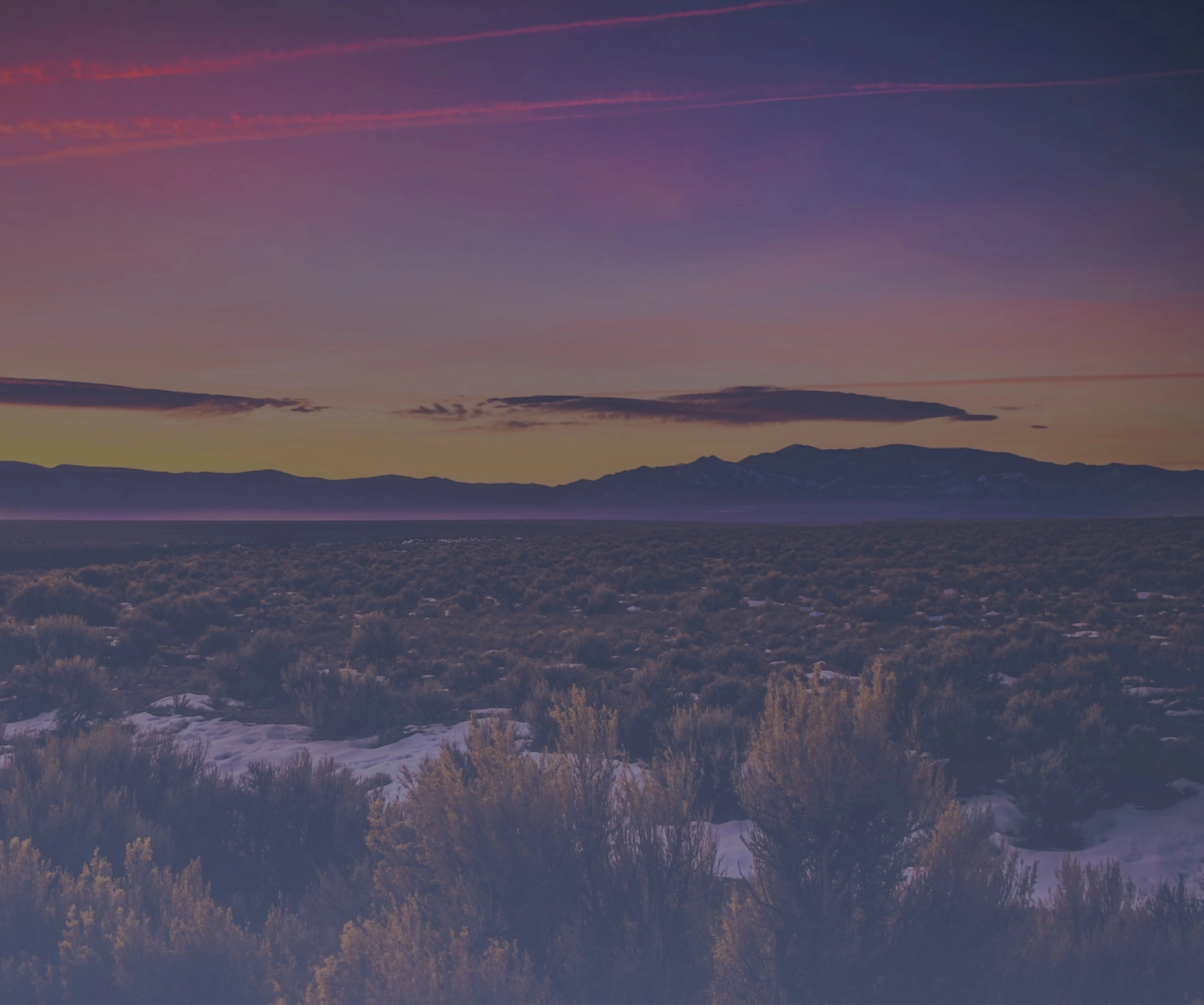 Desert Landscape