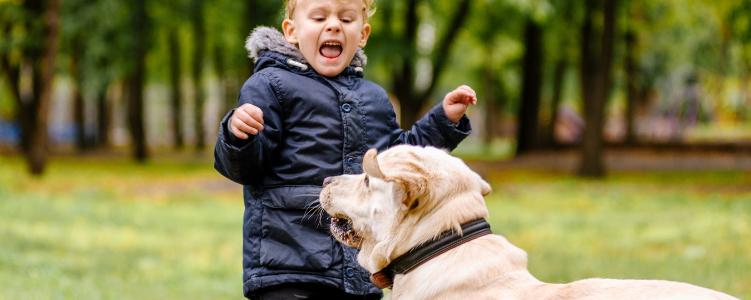 Dog biting child