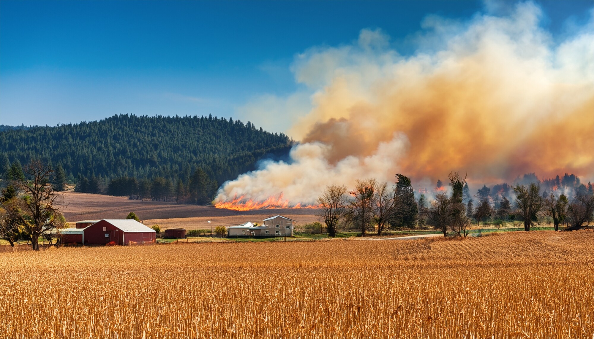 fire on oregon farm