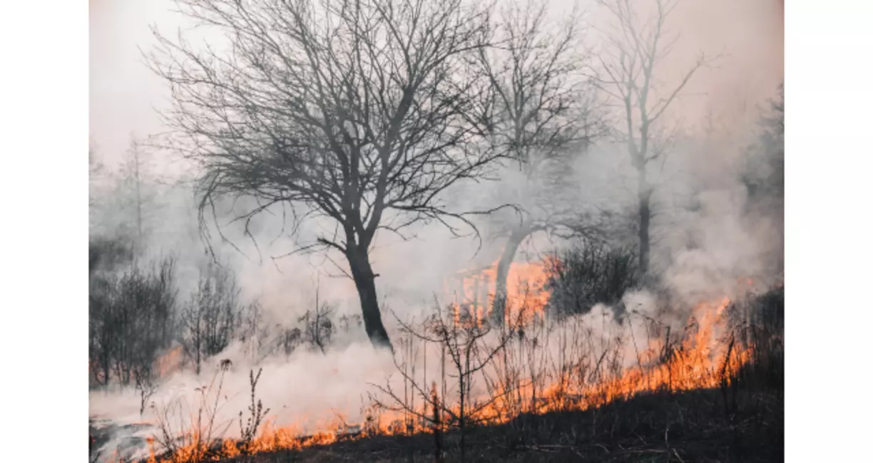 Fire Litigation: Have You Been Affected by the Gray Fire?