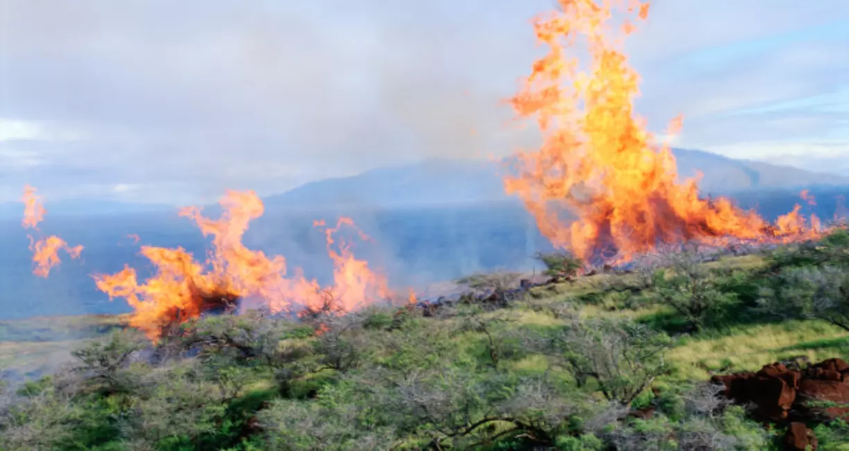 Fire Litigation: Justice for Maui Fire Victims