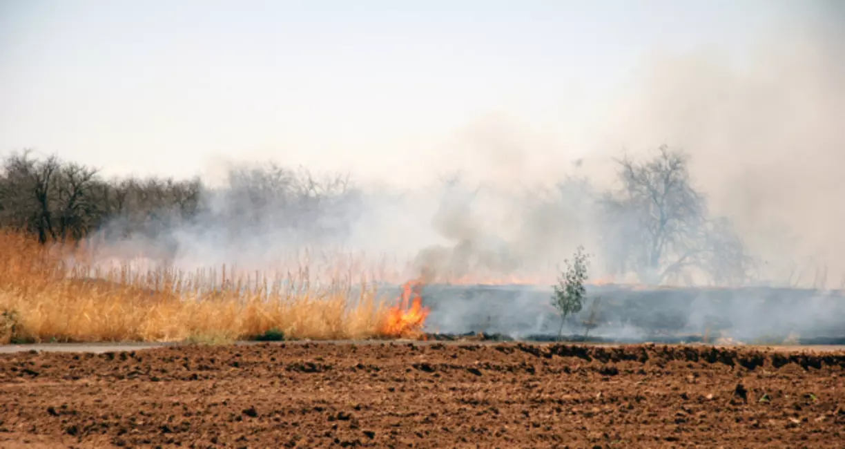 Fire Litigation: We Can Help You Get the Justice and Compensation You Deserve From The Fairview Fire