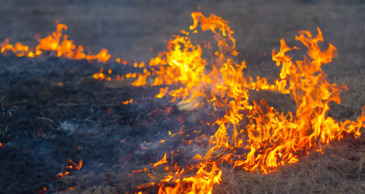 Fire Litigation:  We Can Help You Get the Justice and Compensation You Deserve From The McKinney Fire