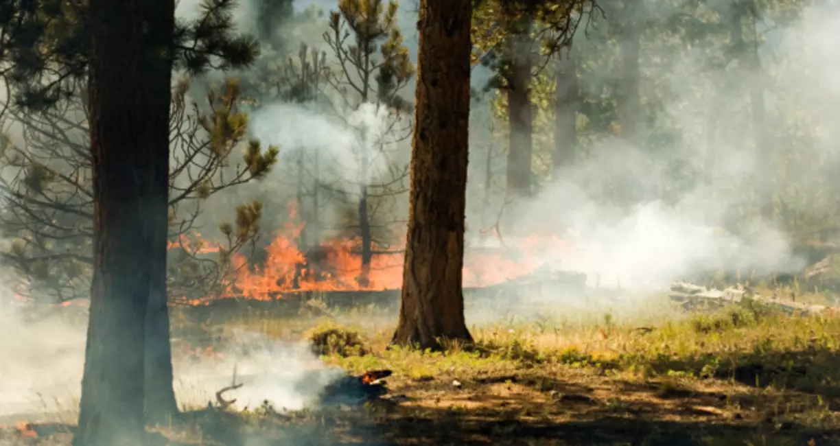 Fire Litigation: Do You Continue to Suffer from the Marshall Fire?