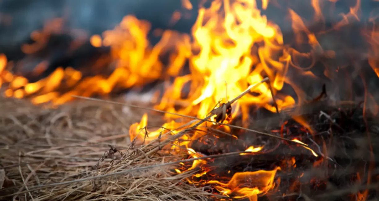 Fire Litigation:  We Can Help You Get the Justice and Compensation You Deserve From The Mosquito Fire