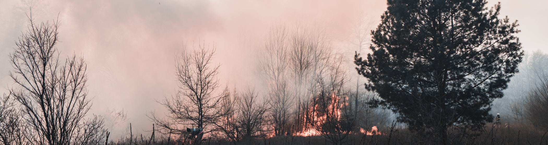 wildfire
