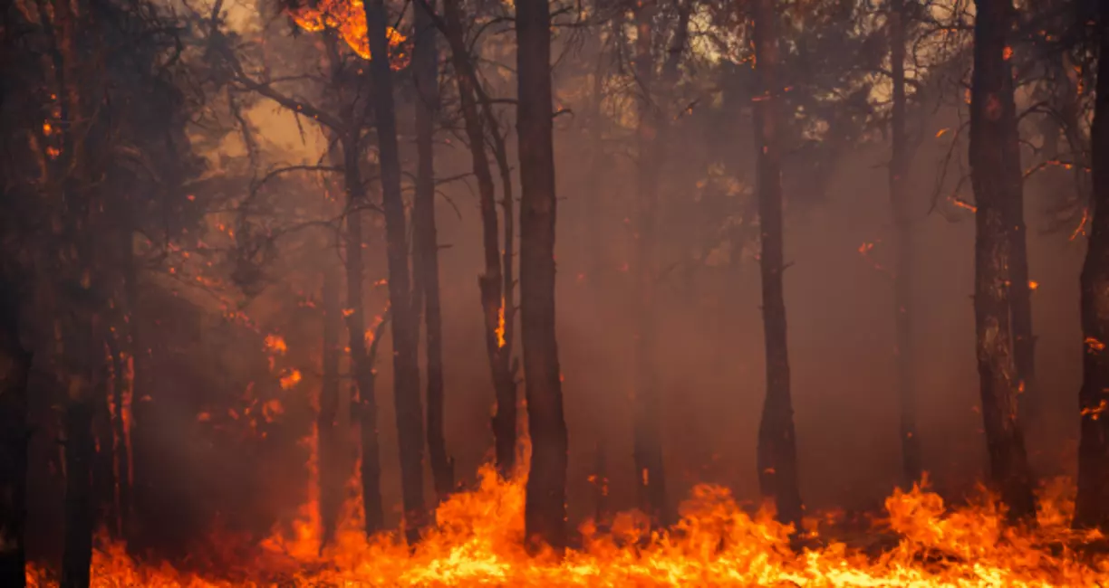 Fire Litigation: We Can Help You Get the Justice and Compensation You Deserve From The Dixie Fire