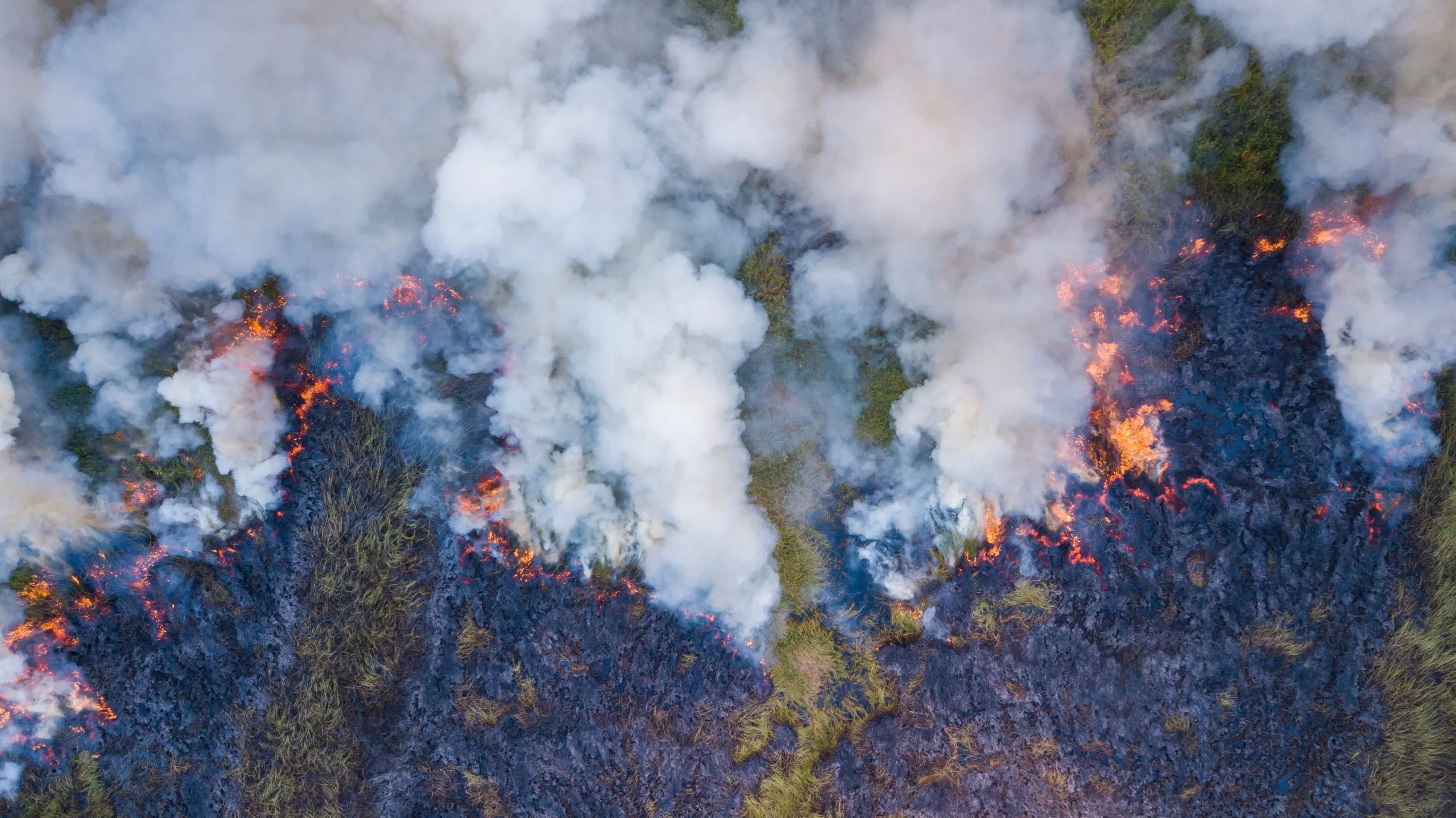 PG&E: Millions more trees within 'strike distance' of power lines