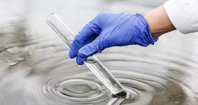 A person's hand holding a test tube with water in it and wearing a rubber glove