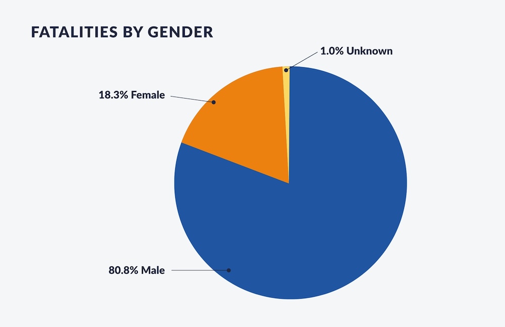 E-bike deaths by gender