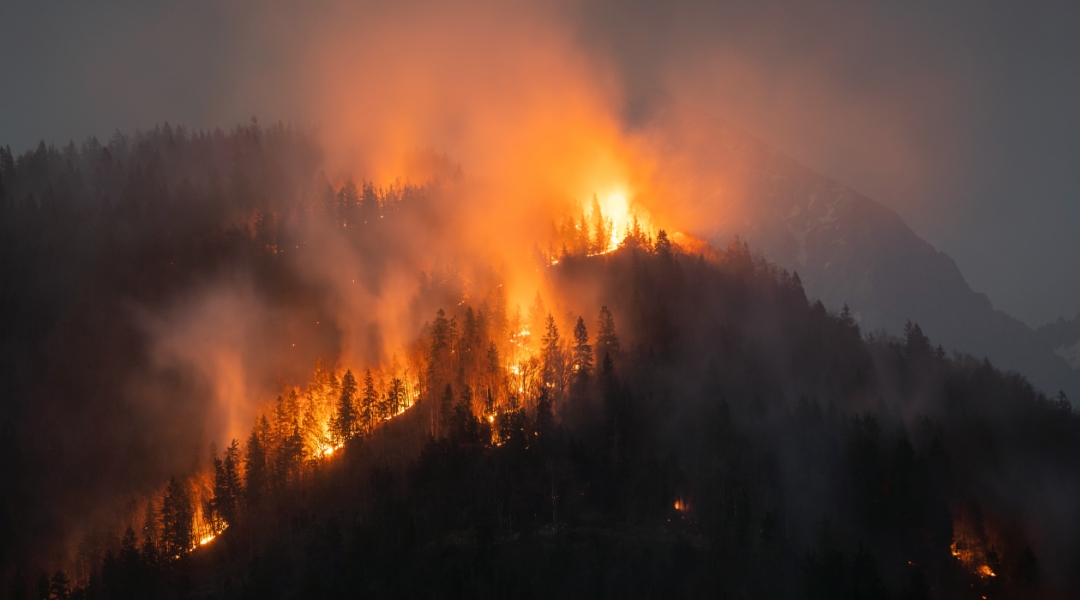 The cost of Wildfires