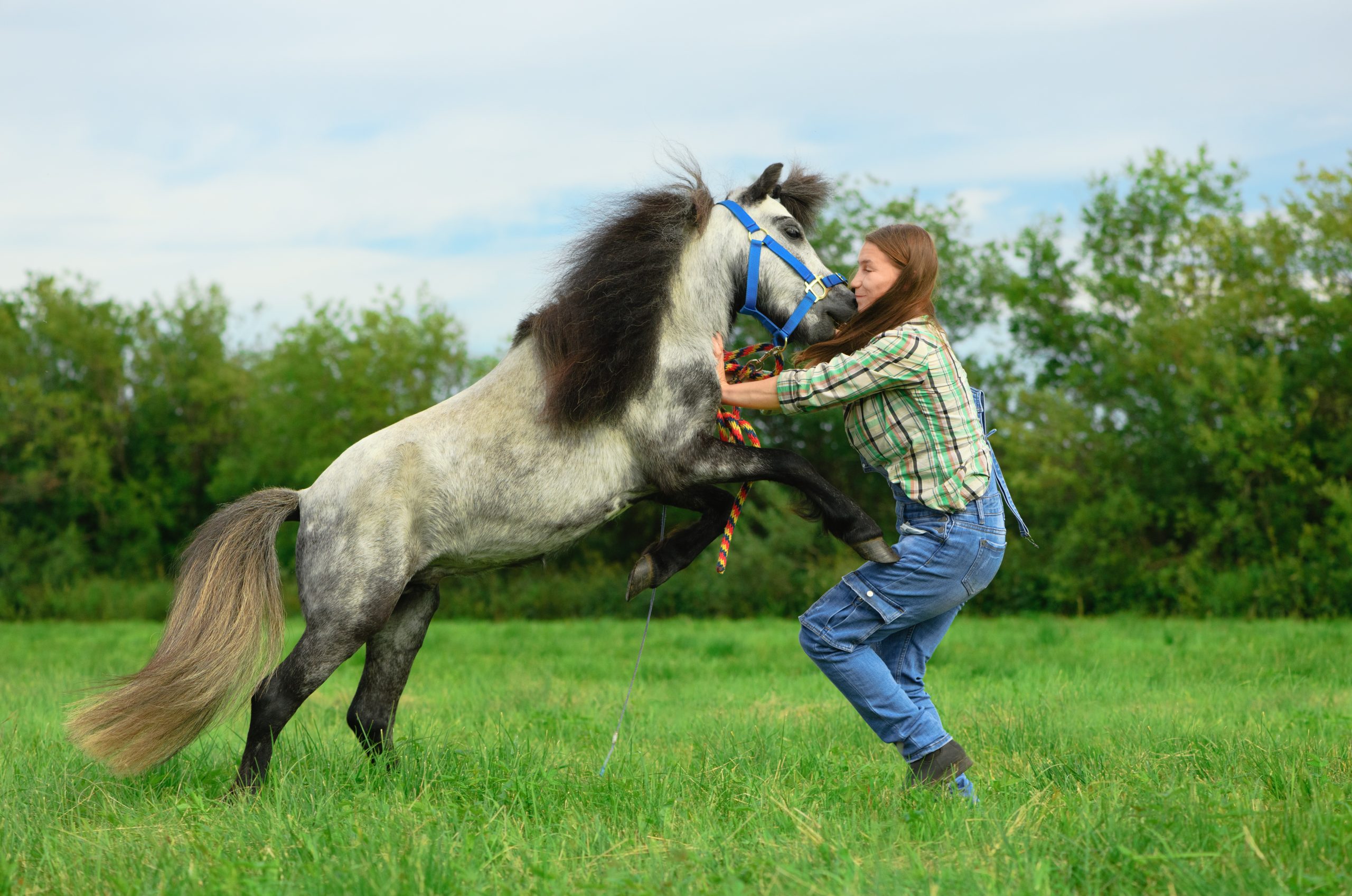 Injuries Caused by Animals