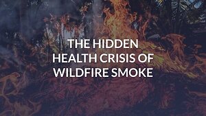 The Hidden Health Crisis of Wildfire Smoke