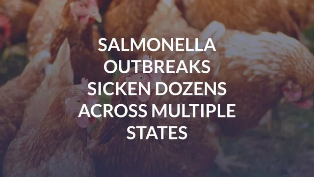 Salmonella Outbreaks Sicken Dozens Across Multiple States
