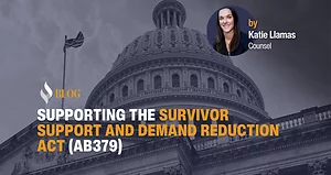 Supporting the Survivor Support and Demand Reduction Act (AB379)