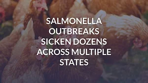 Salmonella Outbreaks Sicken Dozens Across Multiple States